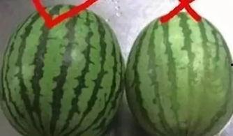 吃瓜汇总42,揭秘娱乐圈最新热点事件