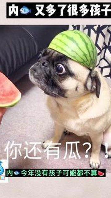 娱乐吃瓜酱宝宝,揭秘娱乐圈那些不为人知的幕后故事