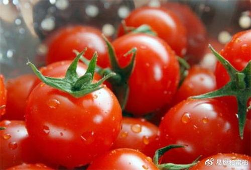 番茄娱乐圈读心吃瓜文