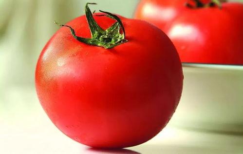 番茄娱乐圈读心吃瓜文